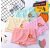 Baby Girl 100% Cotton Printed Underpants for Kids- Pack of 4